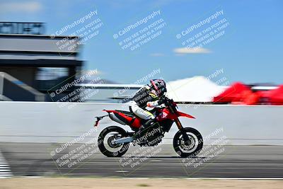 media/Mar-25-2024-Moto Forza (Mon) [[8d4319bd68]]/3-Intermediate Group/Session 4 (Front Straight Speed Pans)/